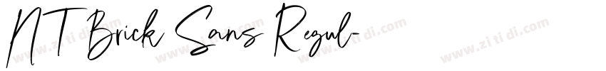 NT Brick Sans Regul字体转换
